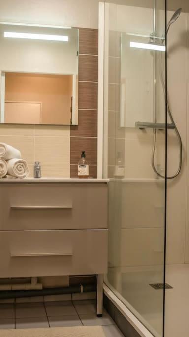 Logement Centre Ville De Reims - Commerces - Wifi Екстер'єр фото